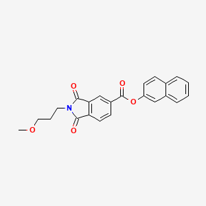 molecular formula C23H19NO5 B4582906 Naphthalen-2-yl 2-(3-methoxypropyl)-1,3-dioxoisoindole-5-carboxylate 