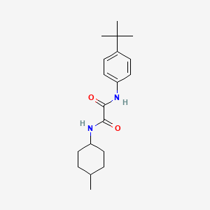 molecular formula C19H28N2O2 B4590253 N-(4-tert-butylphenyl)-N'-(4-methylcyclohexyl)ethanediamide 