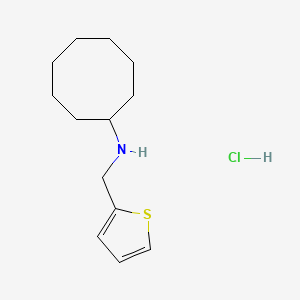 molecular formula C13H22ClNS B4613370 N-(thiophen-2-ylmethyl)cyclooctanamine;hydrochloride 