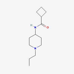 molecular formula C13H24N2O B4631049 N-(1-propylpiperidin-4-yl)cyclobutanecarboxamide 