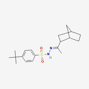 molecular formula C19H28N2O2S B4645112 N'-[(1E)-1-(bicyclo[2.2.1]hept-2-yl)ethylidene]-4-tert-butylbenzenesulfonohydrazide 