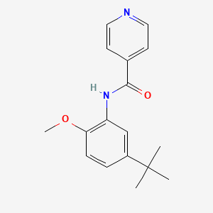 molecular formula C17H20N2O2 B4648102 N-(5-tert-butyl-2-methoxyphenyl)pyridine-4-carboxamide 
