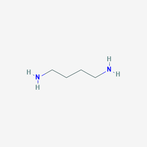 molecular formula C4H12N2 B046682 1,4-diaminobutane CAS No. 110-60-1