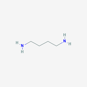 molecular formula C4H12N2 B046682 腐胺 CAS No. 110-60-1