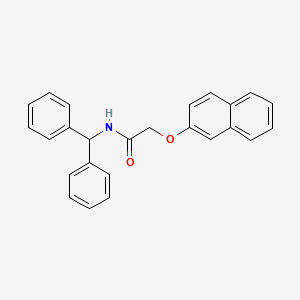 molecular formula C25H21NO2 B4669698 N-(diphenylmethyl)-2-(naphthalen-2-yloxy)acetamide 