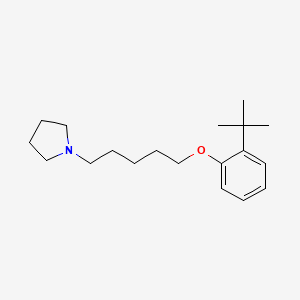 molecular formula C19H31NO B4670292 1-[5-(2-tert-butylphenoxy)pentyl]pyrrolidine 