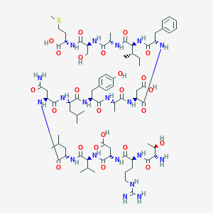 Polyoma peptide antigen MT162-176