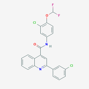 molecular formula C23H14Cl2F2N2O2 B4679765 N-[3-chloro-4-(difluoromethoxy)phenyl]-2-(3-chlorophenyl)-4-quinolinecarboxamide 
