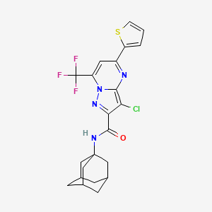 molecular formula C22H20ClF3N4OS B4680646 N~2~-(1-ADAMANTYL)-3-CHLORO-5-(2-THIENYL)-7-(TRIFLUOROMETHYL)PYRAZOLO[1,5-A]PYRIMIDINE-2-CARBOXAMIDE 