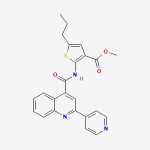 molecular formula C24H21N3O3S B4688669 METHYL 5-PROPYL-2-[2-(PYRIDIN-4-YL)QUINOLINE-4-AMIDO]THIOPHENE-3-CARBOXYLATE 
