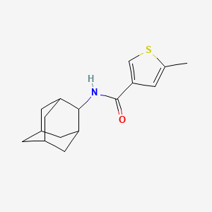 molecular formula C16H21NOS B4688827 N-(ADAMANTAN-2-YL)-5-METHYLTHIOPHENE-3-CARBOXAMIDE 