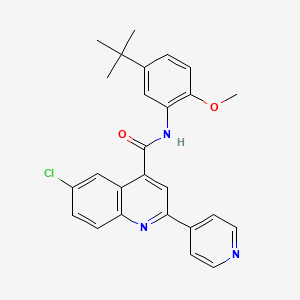 molecular formula C26H24ClN3O2 B4697723 N-(5-tert-butyl-2-methoxyphenyl)-6-chloro-2-(pyridin-4-yl)quinoline-4-carboxamide 