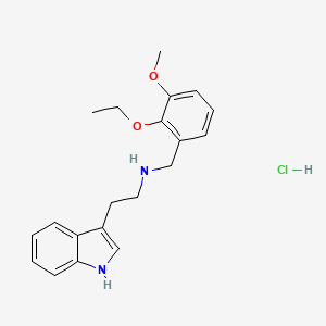 molecular formula C20H25ClN2O2 B4702359 N-[(2-ethoxy-3-methoxyphenyl)methyl]-2-(1H-indol-3-yl)ethanamine;hydrochloride 