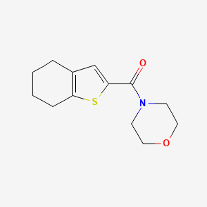 molecular formula C13H17NO2S B4702424 MORPHOLINO(4,5,6,7-TETRAHYDRO-1-BENZOTHIOPHEN-2-YL)METHANONE 