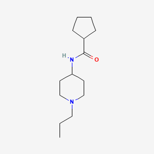 molecular formula C14H26N2O B4703881 N-(1-propylpiperidin-4-yl)cyclopentanecarboxamide 