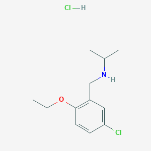 molecular formula C12H19Cl2NO B4707894 N-(5-chloro-2-ethoxybenzyl)propan-2-amine hydrochloride 