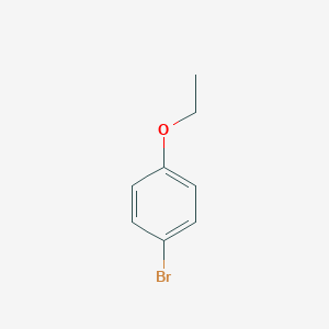 molecular formula C8H9BrO B047170 4-Bromophenetole CAS No. 588-96-5