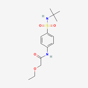 molecular formula C14H22N2O4S B4719109 N-[4-(tert-butylsulfamoyl)phenyl]-2-ethoxyacetamide 