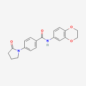 molecular formula C19H18N2O4 B4721592 N-(2,3-dihydro-1,4-benzodioxin-6-yl)-4-(2-oxopyrrolidin-1-yl)benzamide 