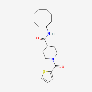 molecular formula C19H28N2O2S B4732634 N-cyclooctyl-1-(thiophene-2-carbonyl)piperidine-4-carboxamide 