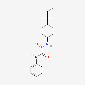 molecular formula C19H28N2O2 B4737711 N-[4-(2-methylbutan-2-yl)cyclohexyl]-N'-phenylethanediamide 