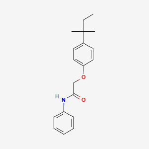 molecular formula C19H23NO2 B4745967 2-[4-(2-methylbutan-2-yl)phenoxy]-N-phenylacetamide 