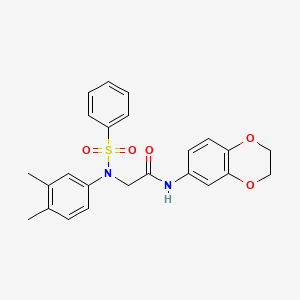 molecular formula C24H24N2O5S B4747613 2-[N-(benzenesulfonyl)-3,4-dimethylanilino]-N-(2,3-dihydro-1,4-benzodioxin-6-yl)acetamide 