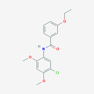 molecular formula C17H18ClNO4 B4769545 N-(5-chloro-2,4-dimethoxyphenyl)-3-ethoxybenzamide 