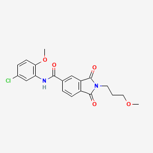 molecular formula C20H19ClN2O5 B4778228 N-(5-chloro-2-methoxyphenyl)-2-(3-methoxypropyl)-1,3-dioxoisoindole-5-carboxamide 