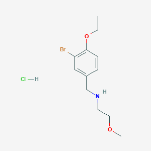molecular formula C12H19BrClNO2 B4782467 N-(3-bromo-4-ethoxybenzyl)-2-methoxyethanamine hydrochloride 