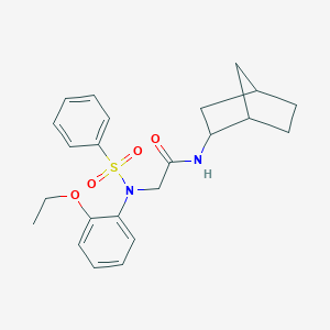 N-bicyclo[2.2.1]hept-2-yl-N~2~-(2-ethoxyphenyl)-N~2~-(phenylsulfonyl)glycinamide