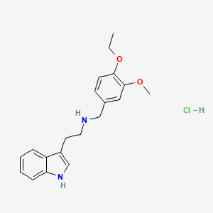 molecular formula C20H25ClN2O2 B4807164 N-[(4-ethoxy-3-methoxyphenyl)methyl]-2-(1H-indol-3-yl)ethanamine;hydrochloride 