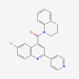 molecular formula C24H18ClN3O B4821543 [6-CHLORO-2-(4-PYRIDYL)-4-QUINOLYL][3,4-DIHYDRO-1(2H)-QUINOLINYL]METHANONE 