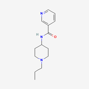 molecular formula C14H21N3O B4823826 N-(1-propyl-4-piperidinyl)nicotinamide 