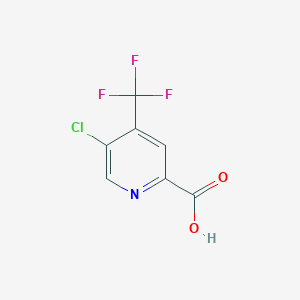 molecular formula C7H3ClF3NO2 B048271 5-氯-4-(三氟甲基)吡啶甲酸 CAS No. 796090-31-8
