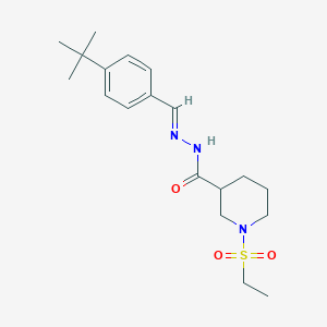 molecular formula C19H29N3O3S B4837642 N'-[(E)-(4-tert-butylphenyl)methylidene]-1-(ethylsulfonyl)piperidine-3-carbohydrazide 