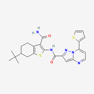 molecular formula C24H25N5O2S2 B4846387 N~2~-[3-(AMINOCARBONYL)-6-(TERT-BUTYL)-4,5,6,7-TETRAHYDRO-1-BENZOTHIOPHEN-2-YL]-7-(2-THIENYL)PYRAZOLO[1,5-A]PYRIMIDINE-2-CARBOXAMIDE 