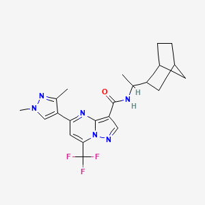 molecular formula C22H25F3N6O B4848147 N~3~-(1-BICYCLO[2.2.1]HEPT-2-YLETHYL)-5-(1,3-DIMETHYL-1H-PYRAZOL-4-YL)-7-(TRIFLUOROMETHYL)PYRAZOLO[1,5-A]PYRIMIDINE-3-CARBOXAMIDE 
