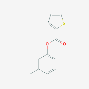 molecular formula C12H10O2S B484960 3-methylphenyl thiophene-2-carboxylate CAS No. 38281-69-5