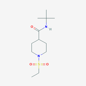 molecular formula C12H24N2O3S B4855608 N-tert-butyl-1-(ethylsulfonyl)piperidine-4-carboxamide 