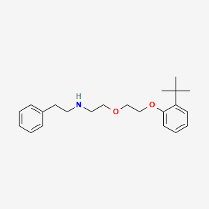 molecular formula C22H31NO2 B4858318 N-[2-[2-(2-tert-butylphenoxy)ethoxy]ethyl]-2-phenylethanamine 