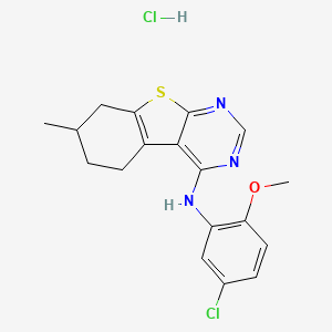 molecular formula C18H19Cl2N3OS B4879936 N-(5-chloro-2-methoxyphenyl)-7-methyl-5,6,7,8-tetrahydro-[1]benzothiolo[2,3-d]pyrimidin-4-amine;hydrochloride 