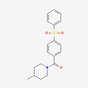 molecular formula C19H21NO3S B4889430 [4-(Benzenesulfonyl)phenyl]-(4-methylpiperidin-1-yl)methanone 