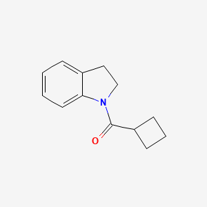 molecular formula C13H15NO B4906115 cyclobutyl(2,3-dihydro-1H-indol-1-yl)methanone 