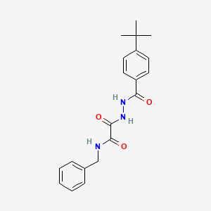 molecular formula C20H23N3O3 B4911913 N-benzyl-2-[2-(4-tert-butylbenzoyl)hydrazinyl]-2-oxoacetamide 