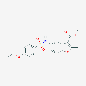molecular formula C19H19NO6S B492032 METHYL 5-(4-ETHOXYBENZENESULFONAMIDO)-2-METHYL-1-BENZOFURAN-3-CARBOXYLATE CAS No. 442553-79-9