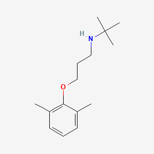 molecular formula C15H25NO B4920732 N-[3-(2,6-dimethylphenoxy)propyl]-2-methylpropan-2-amine 