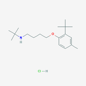molecular formula C19H34ClNO B4925770 N-tert-butyl-4-(2-tert-butyl-4-methylphenoxy)butan-1-amine;hydrochloride 