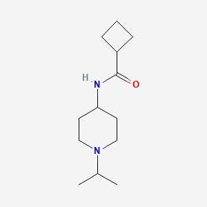 molecular formula C13H24N2O B4928401 N-[1-(propan-2-yl)piperidin-4-yl]cyclobutanecarboxamide 