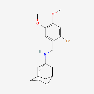 molecular formula C19H26BrNO2 B4931355 N-(1-ADAMANTYL)-N-(2-BROMO-4,5-DIMETHOXYBENZYL)AMINE 